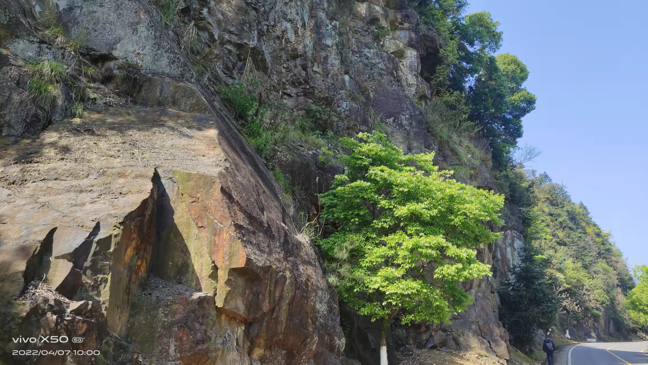 �����ֺ����